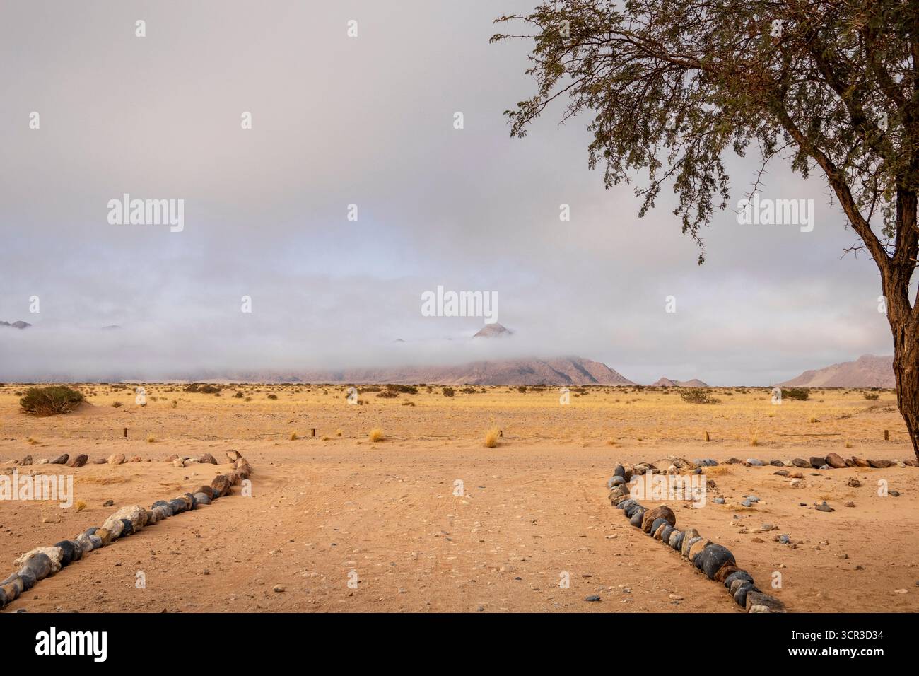Sossusvlei, Namibia: Un paesaggio surreale di dune e piante desertiche resilienti Foto Stock