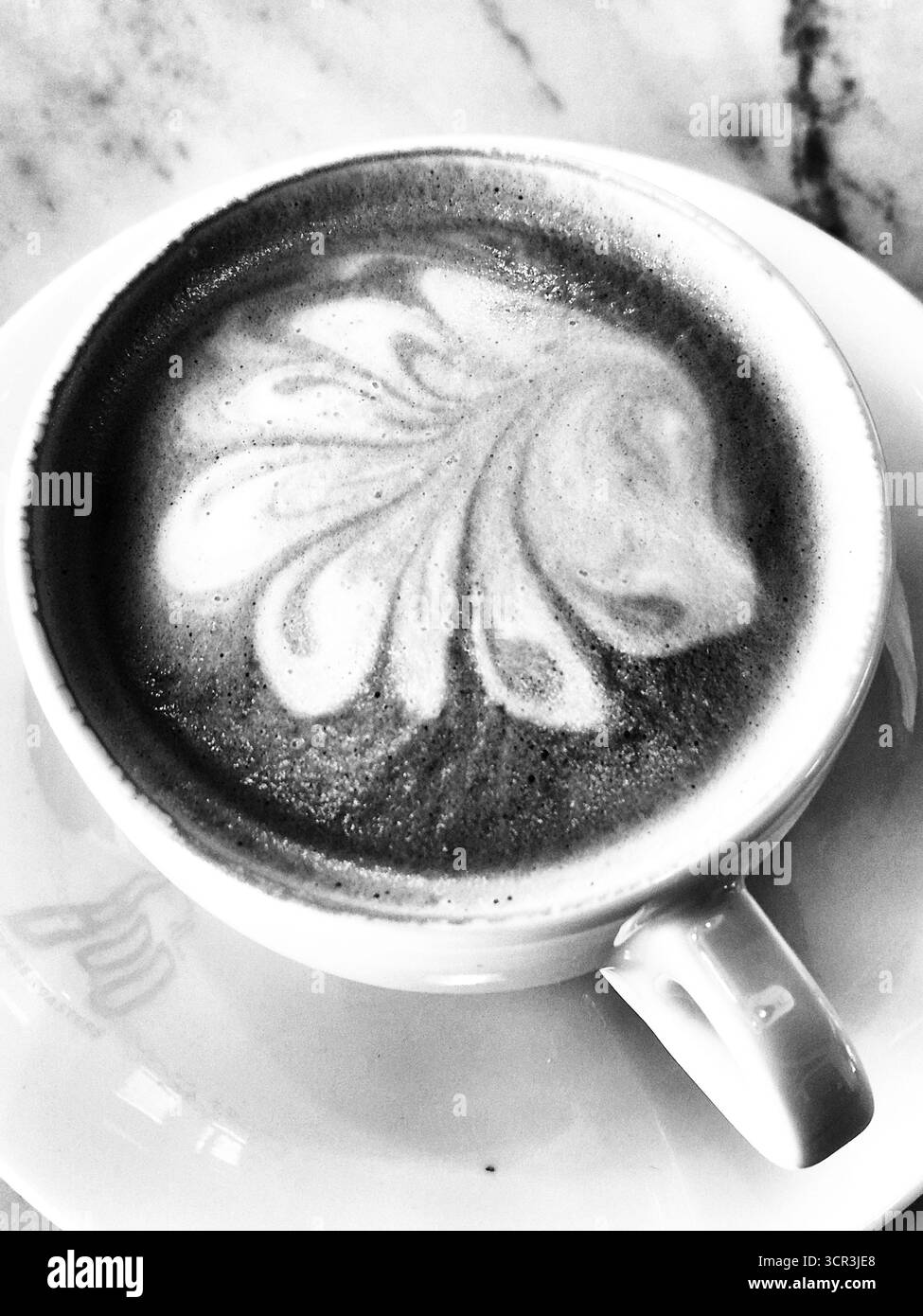Arte del caffè in bianco e nero. Cappuccino monocromatico. Latte art. Foto Stock