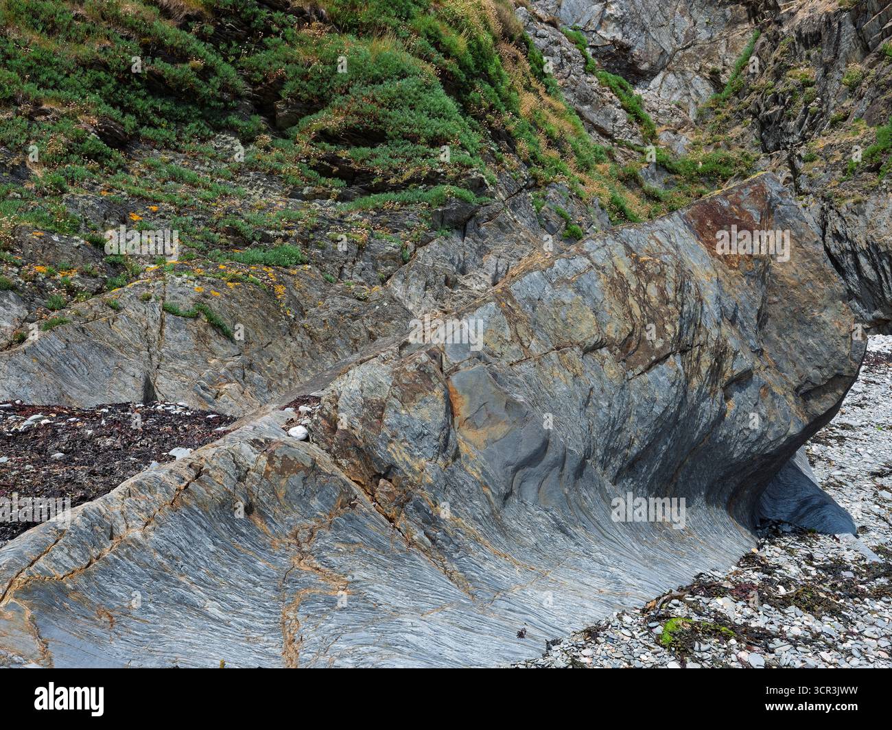 Gli strati rocciosi lungo la costa di West Cork, Irlanda, mostrano strati di sedimenti blu, grigi e dorati. Foto Stock