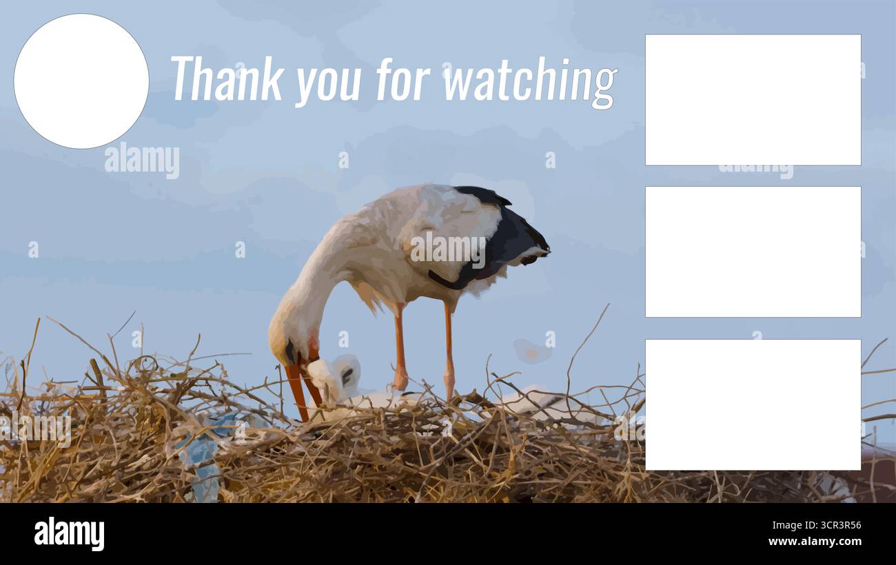 Straordinario design vettoriale per gli amanti degli animali domestici, modello di schermata finale video di YouTube creativo che attrae gli spettatori, perfetto per creatori di contenuti e vlogger Foto Stock