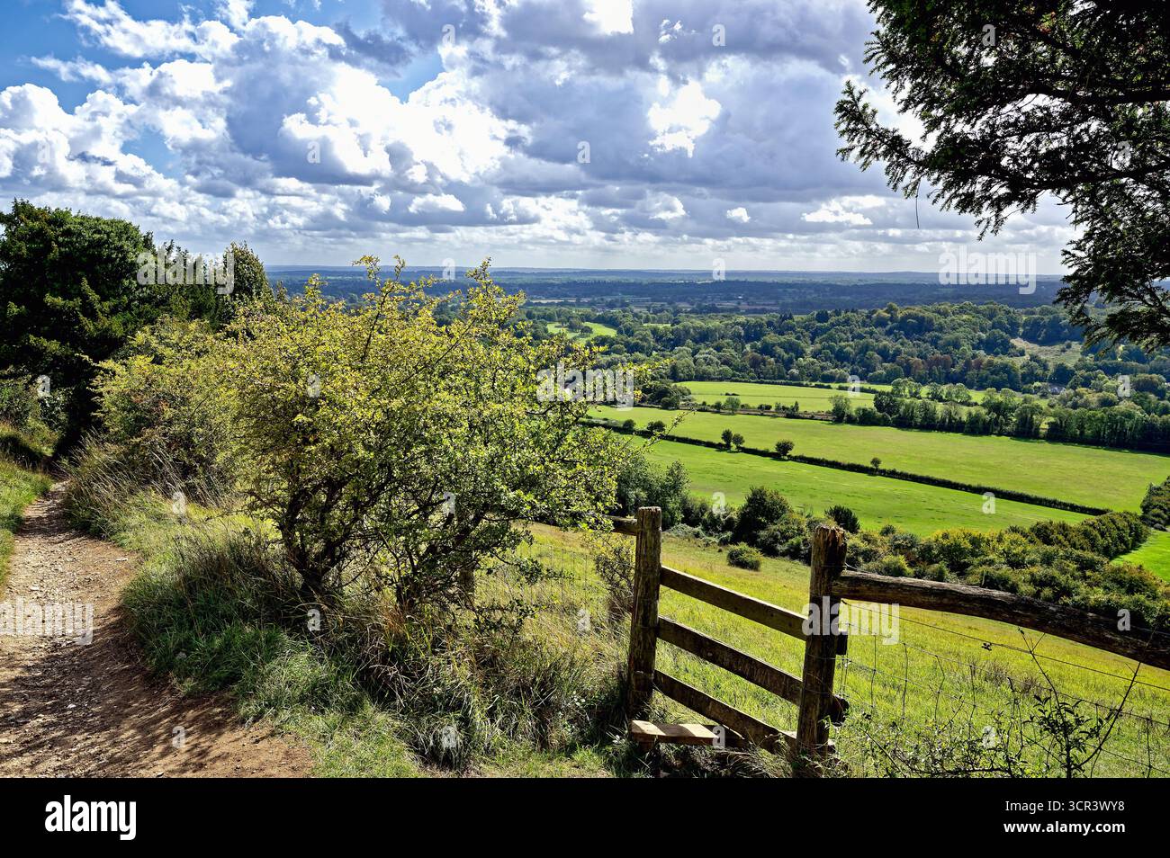 La vista dalla scarpata di Box Hill Dorking Surrey Inghilterra Regno Unito Foto Stock