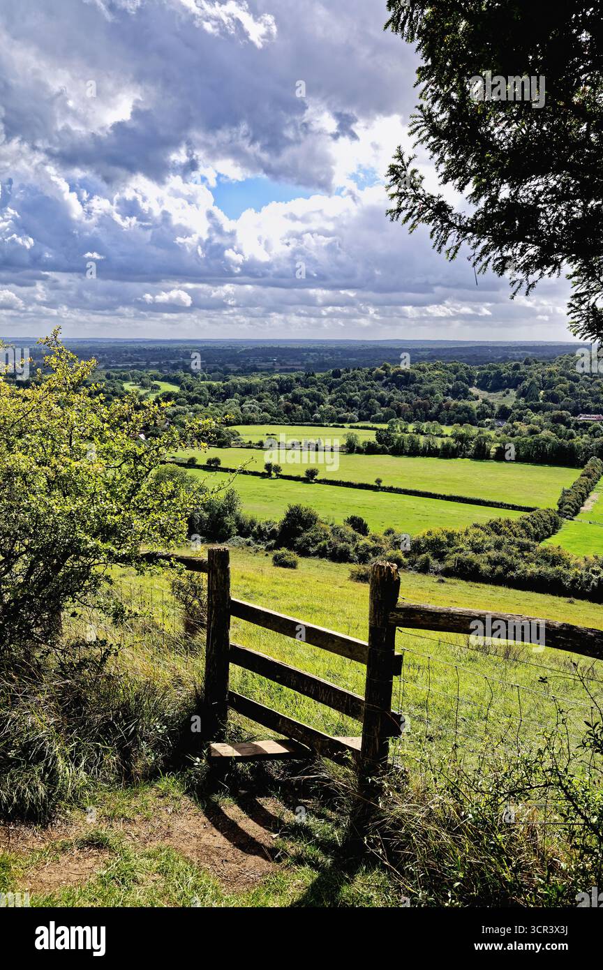 La vista dalla scarpata di Box Hill Dorking Surrey Inghilterra Regno Unito Foto Stock