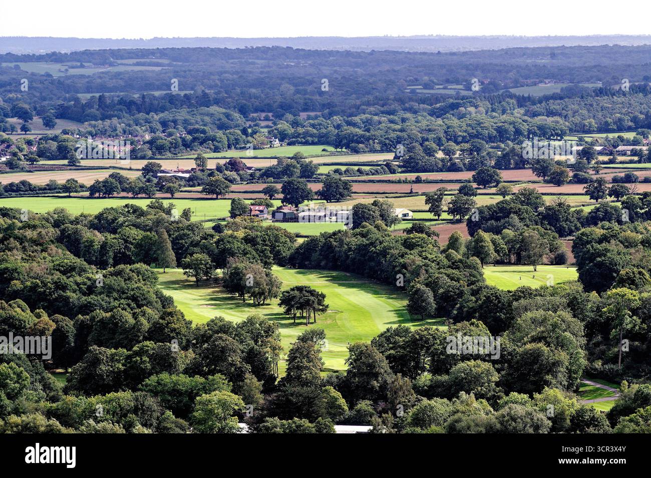 Il Weald visto dalla cima di Box Hill Dorking Surrey Inghilterra Regno Unito Foto Stock