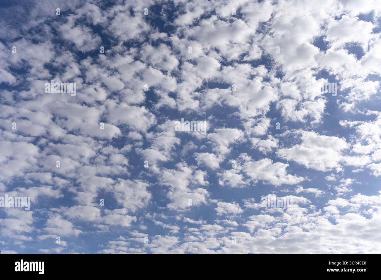 Nuvole ad alta risoluzione su sfondo blu. Foto Stock