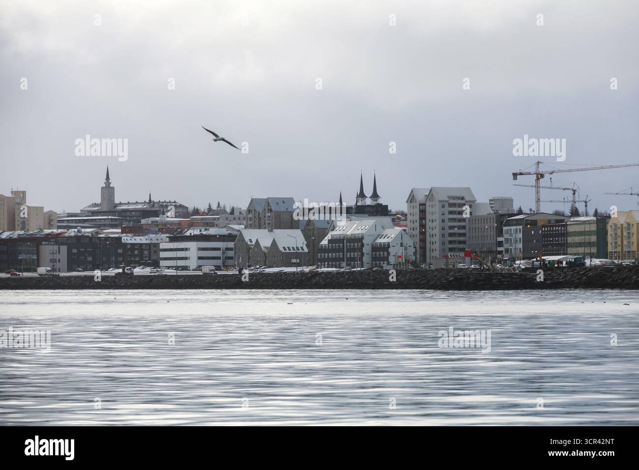 Una tranquilla zona portuale lungo un lungomare mostra un mix di edifici moderni e tradizionali, un gabbiano solitario che vola sopra l'acqua e gru distanti Foto Stock Una tranquilla zona portuale lungo un lungomare mostra un mix di edifici moderni e tradizionali, un gabbiano solitario che vola sopra l'acqua e gru distanti Foto Stock