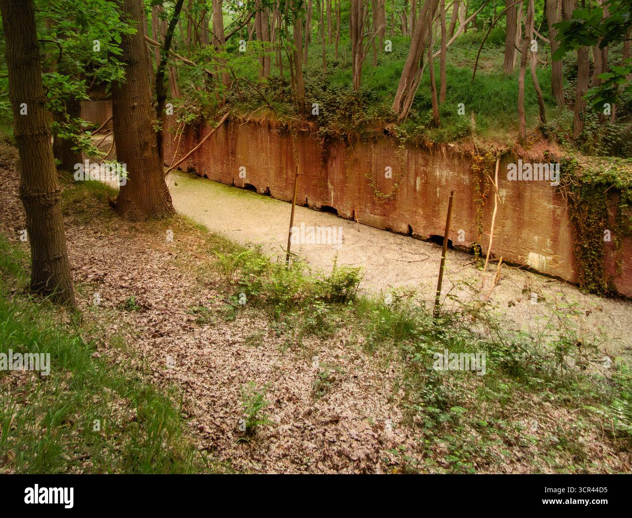Letto di fiume asciutto con muro di erosione e pali di recinzione in legno nel paesaggio forestale Foto Stock Letto di fiume asciutto con muro di erosione e pali di recinzione in legno nel paesaggio forestale Foto Stock