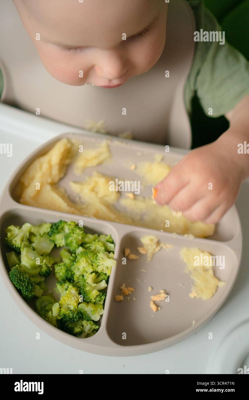 La foto dall'alto mostra il bambino curioso che sta raccogliendo alimenti nutrienti: Cereali, verdure al vapore e uova. Importante sviluppo di capacità alimentari precoci. Foto Stock