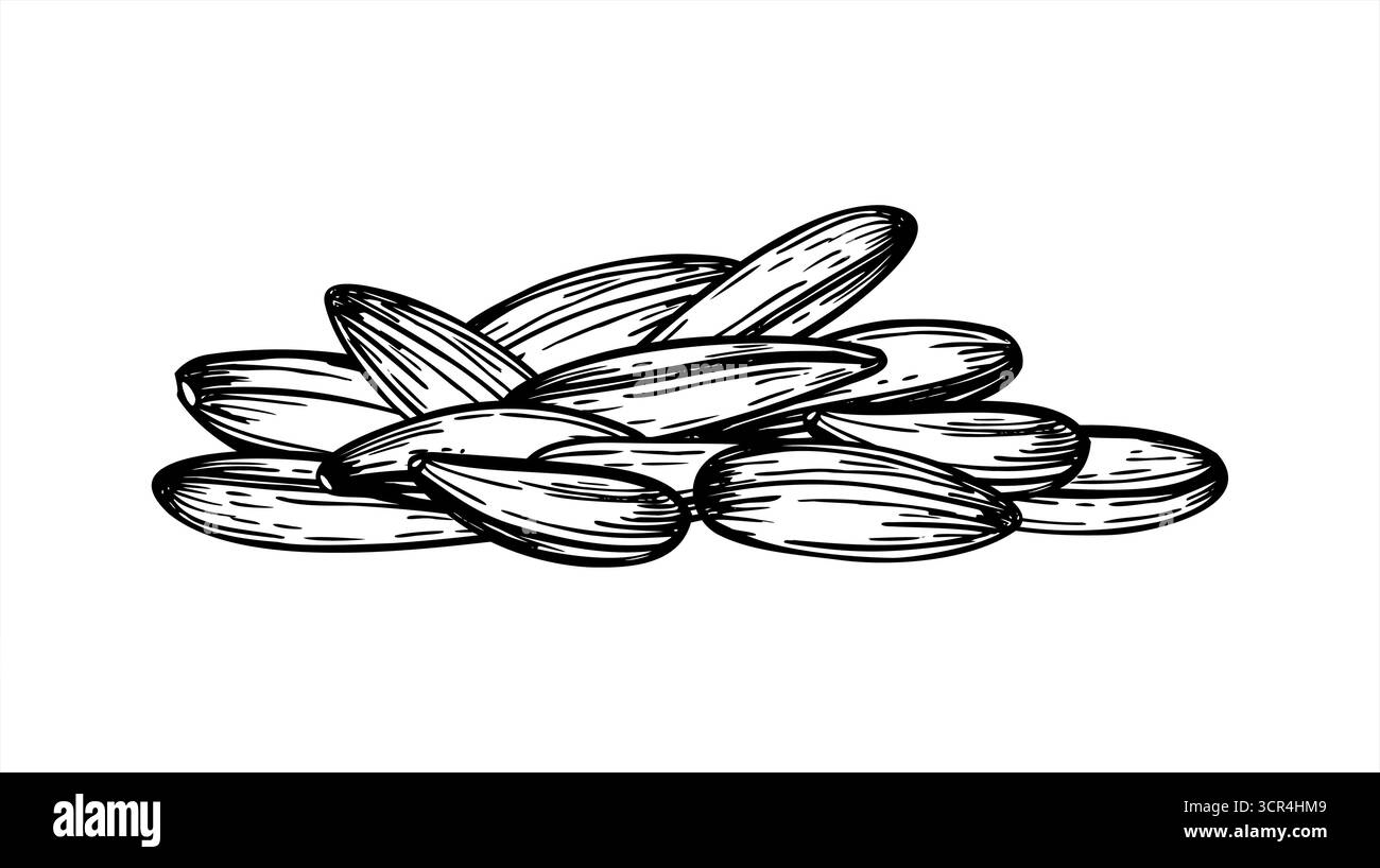 Illustrazione con inchiostro vettoriale monocromatico semi di girasole grezzi in conchiglie. Pila di snack salutari. Cumulo di grani non sbucciati di fiori di sole per l'imballaggio Illustrazione Vettoriale