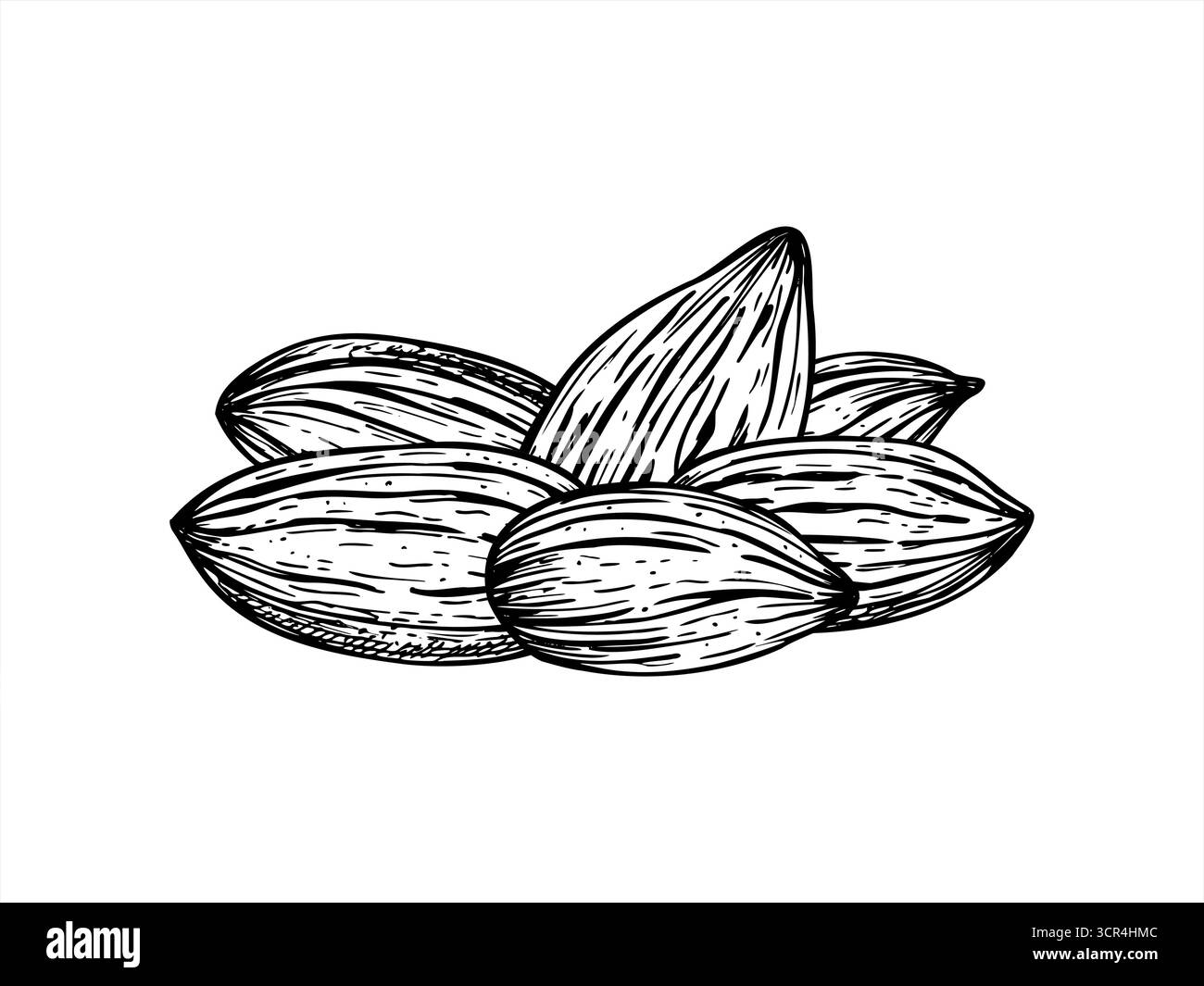 Le noci di mandorle tostate essiccate sono composte da un vettore monocromatico isolato. Disegno di incisione di chicchi di mandorle. Pila sana di spuntini di noci Illustrazione Vettoriale