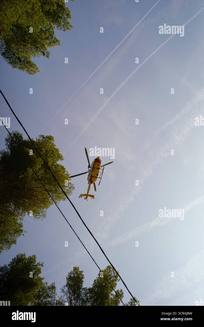 Un elicottero giallo vola sopra gli alberi con le unghie in un cielo azzurro. Marsiglia, Francia Foto Stock