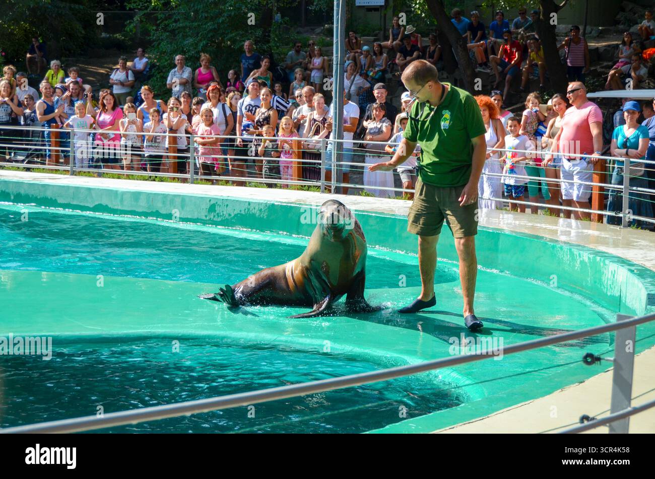 Budapest, Ungheria - 12 luglio 2017: Istruttore che si esibisce con il leone marino di fronte a un grande pubblico durante uno spettacolo all'aperto allo zoo di Budapest. Foto Stock