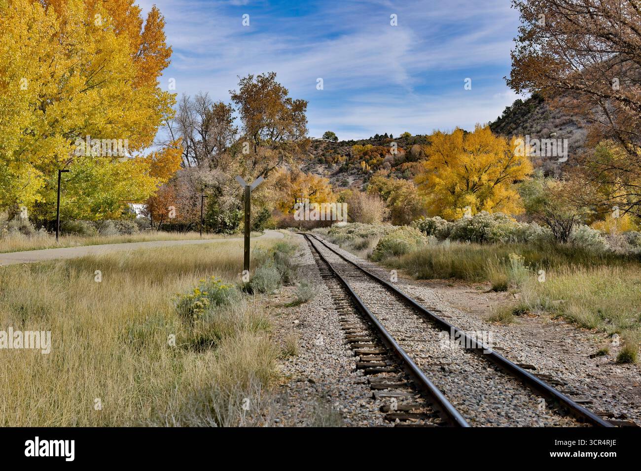Colori autunnali lungo la Durango and Silverton Railroad vicino a Durango, Colorado Foto Stock