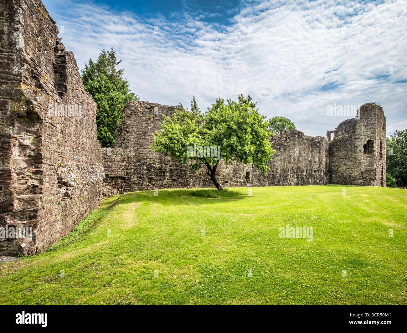 Parte della cortina muraria del XII secolo del Castello di Abergavenny, situata nella città di Monmouthshire, Galles. Foto Stock