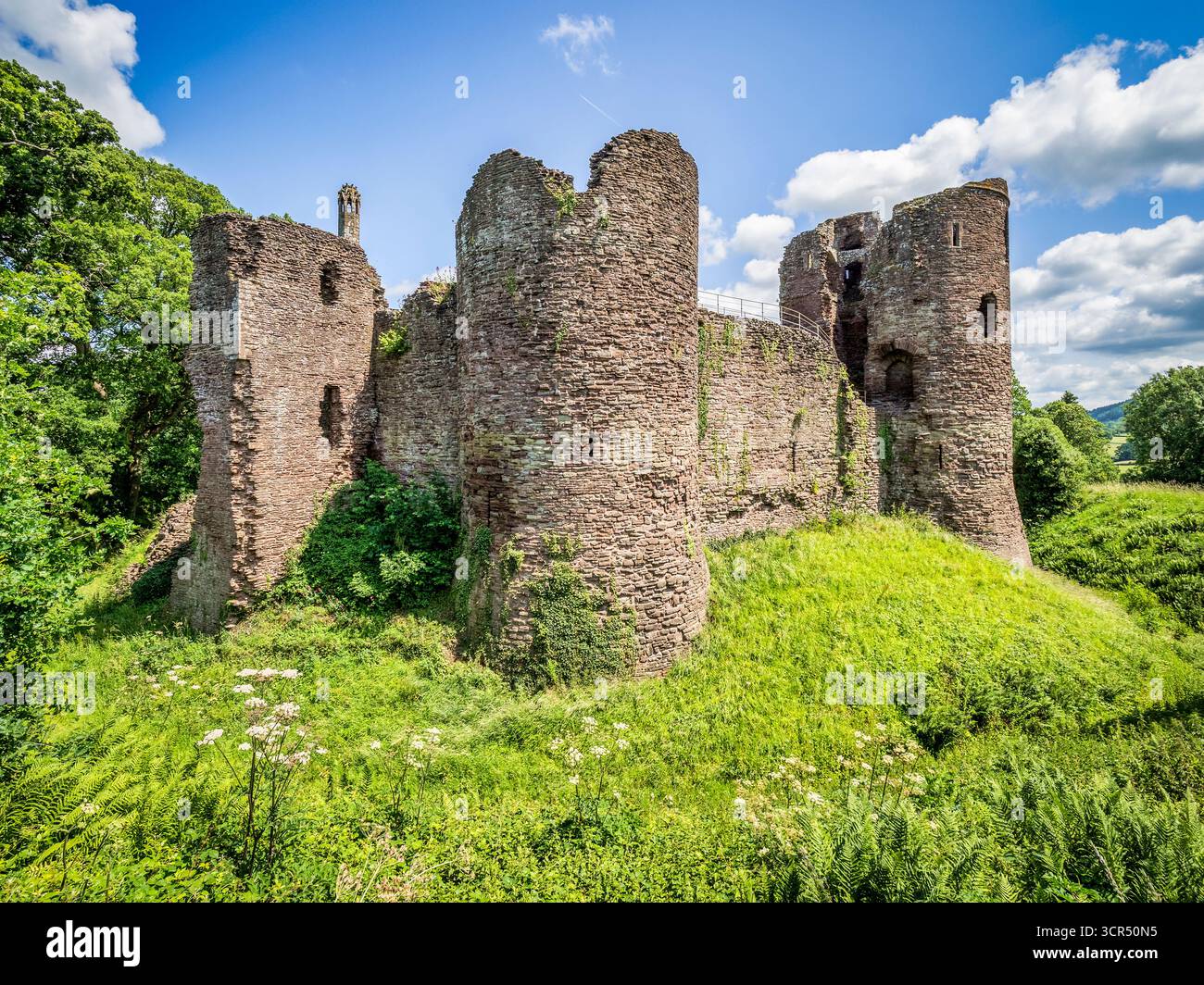 Vista del muro di cinta e delle torri del castello di Grosmont, Grosmont, Monmouthshire, da ovest. Foto Stock