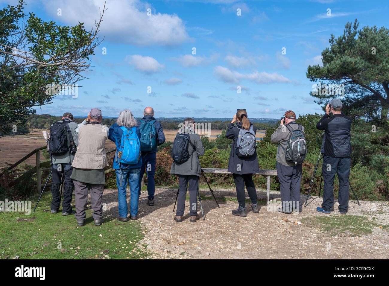 Birdwatchers presso RSPB Arne, parte della Purbeck Heath National Nature Reserve nel Dorset, Inghilterra, Regno Unito Foto Stock