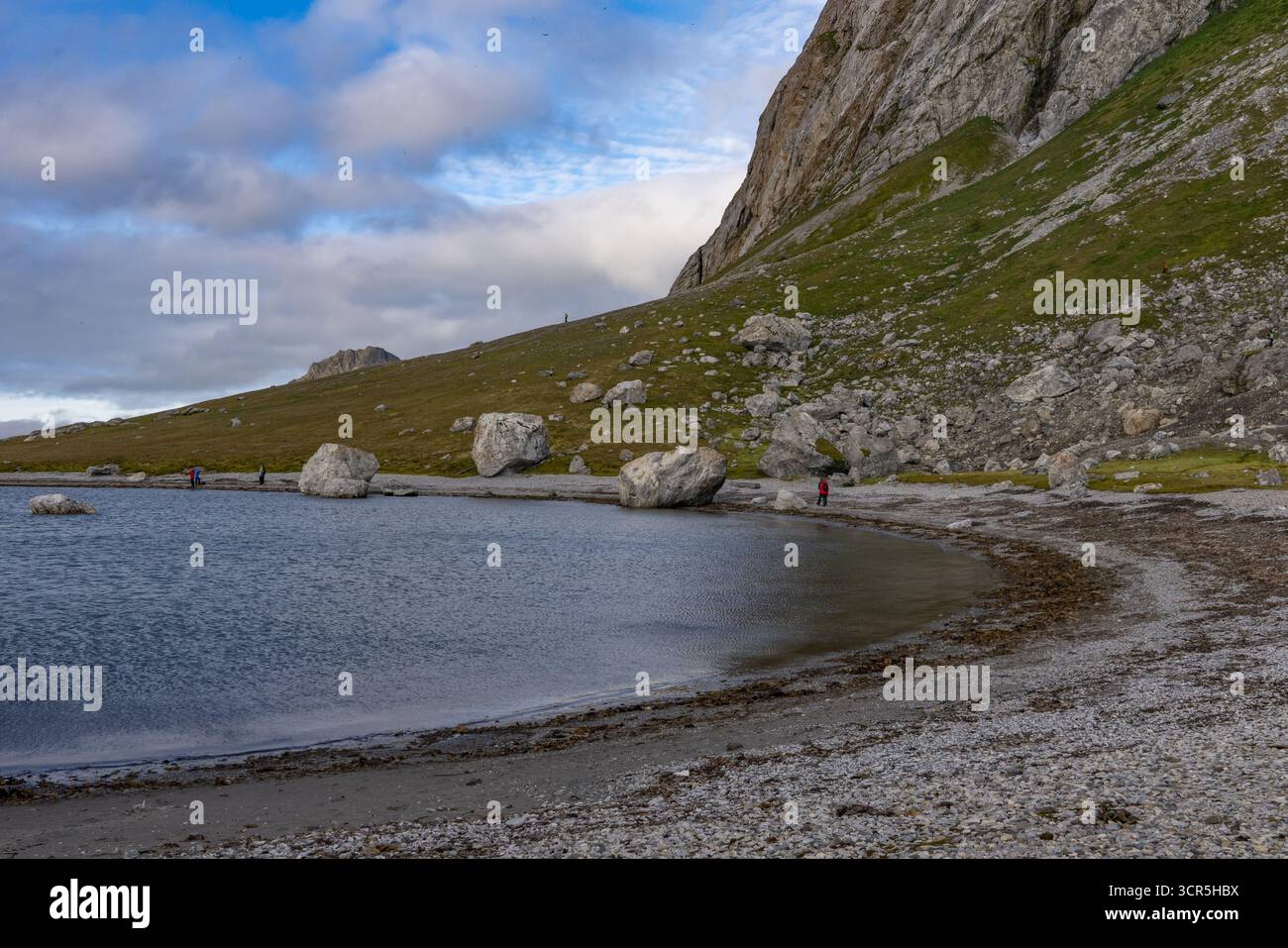 Vista delle aspre montagne che si innalzano drammaticamente dal Mar Artico, le loro pendici rocciose punteggiate di vegetazione sparsa, incontrando la spiaggia di ciottoli, Longyearbyen, Svalbard e Jan Mayen. Foto Stock