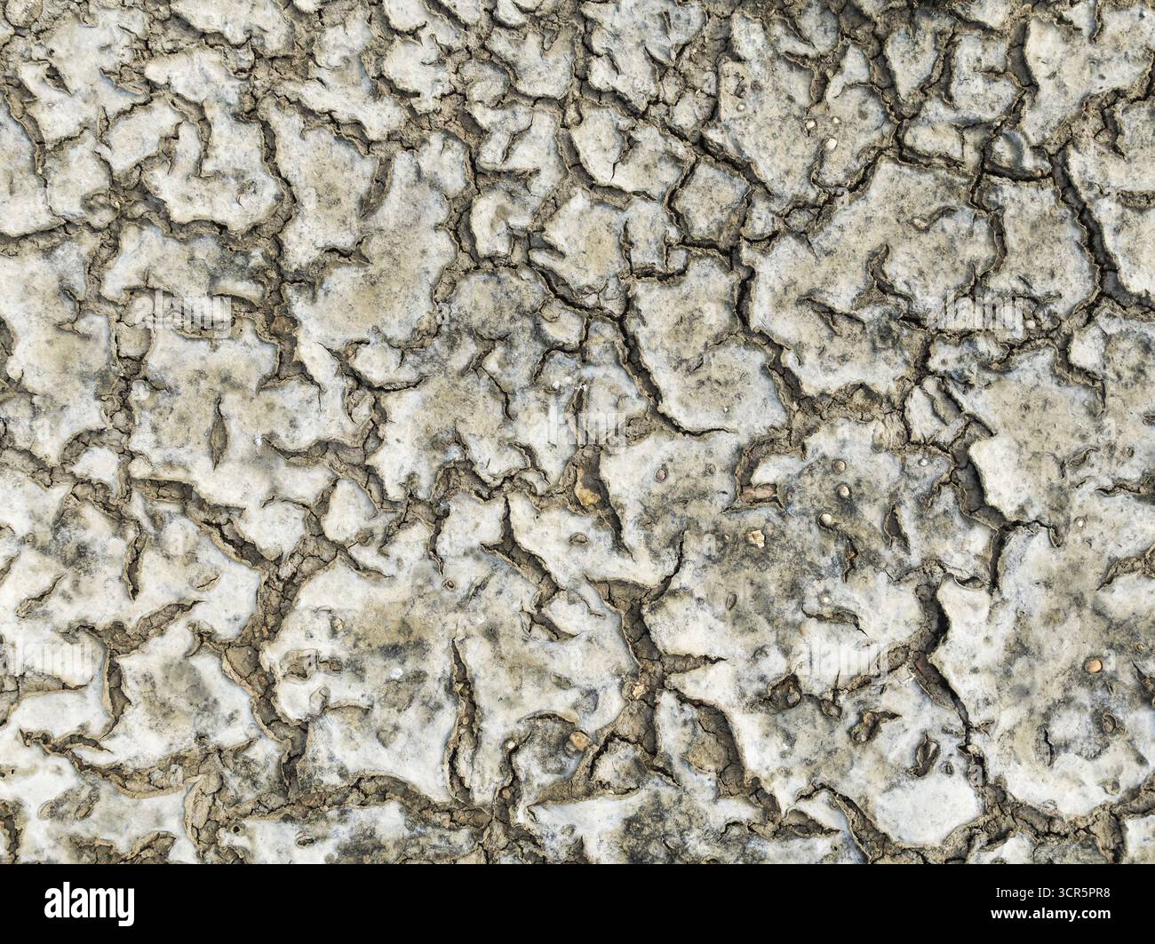 La vista aerea della terra soleggiata si incrina in schemi poligonali di bianco sbiancato e marrone polveroso, un forte ricordo dell'arido paesaggio, Bay o Foto Stock