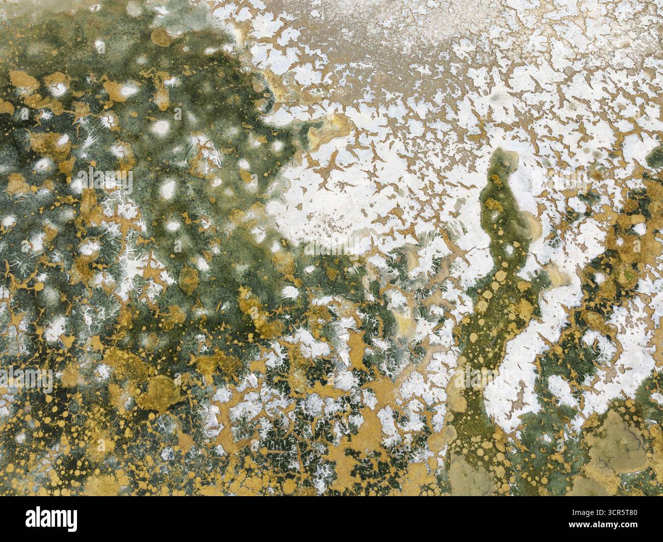 Vista aerea di un paesaggio astratto con un mix di tonalità dorate, verdi e bianche che creano un mosaico testurizzato, Baia di Cádiz, provincia di Cádiz, Andalusia, Foto Stock
