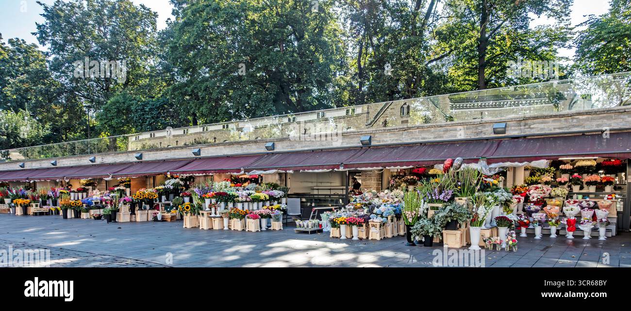 Il colorato mercato dei fiori banchina alla porta Viru di Tallinn, Estonia, che espone mazzi e arrangiamenti vivaci, un luogo popolare per la gente del posto e i visitatori. Foto Stock
