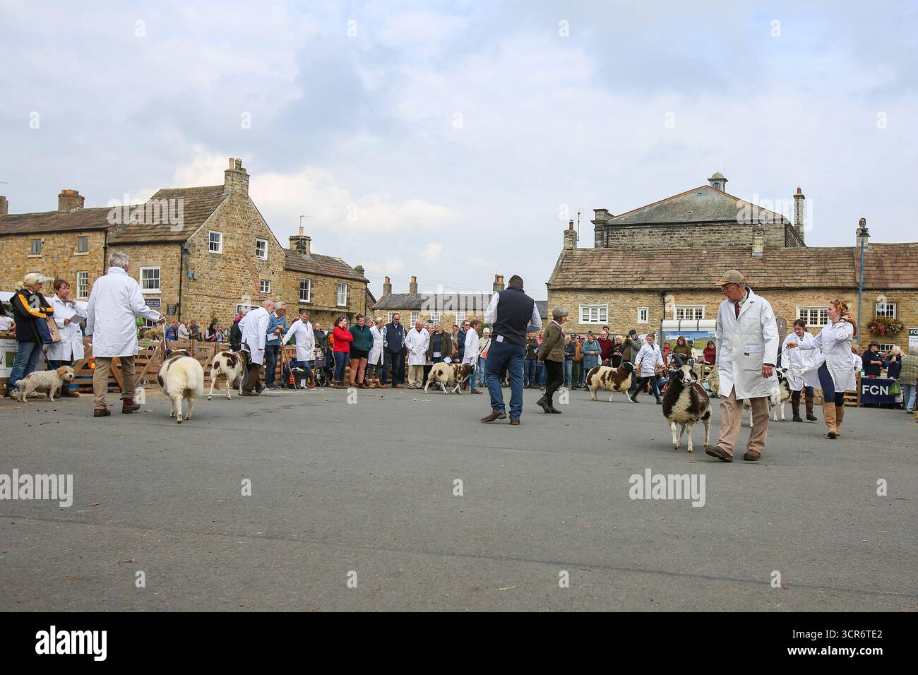 40th Masham Sheep Fair, North Yorkshire, Inghilterra Foto Stock