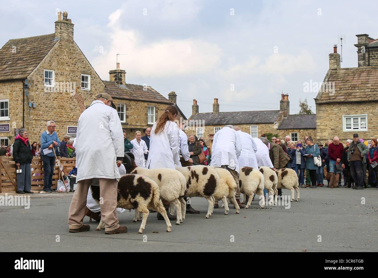 40th Masham Sheep Fair, North Yorkshire, Inghilterra Foto Stock
