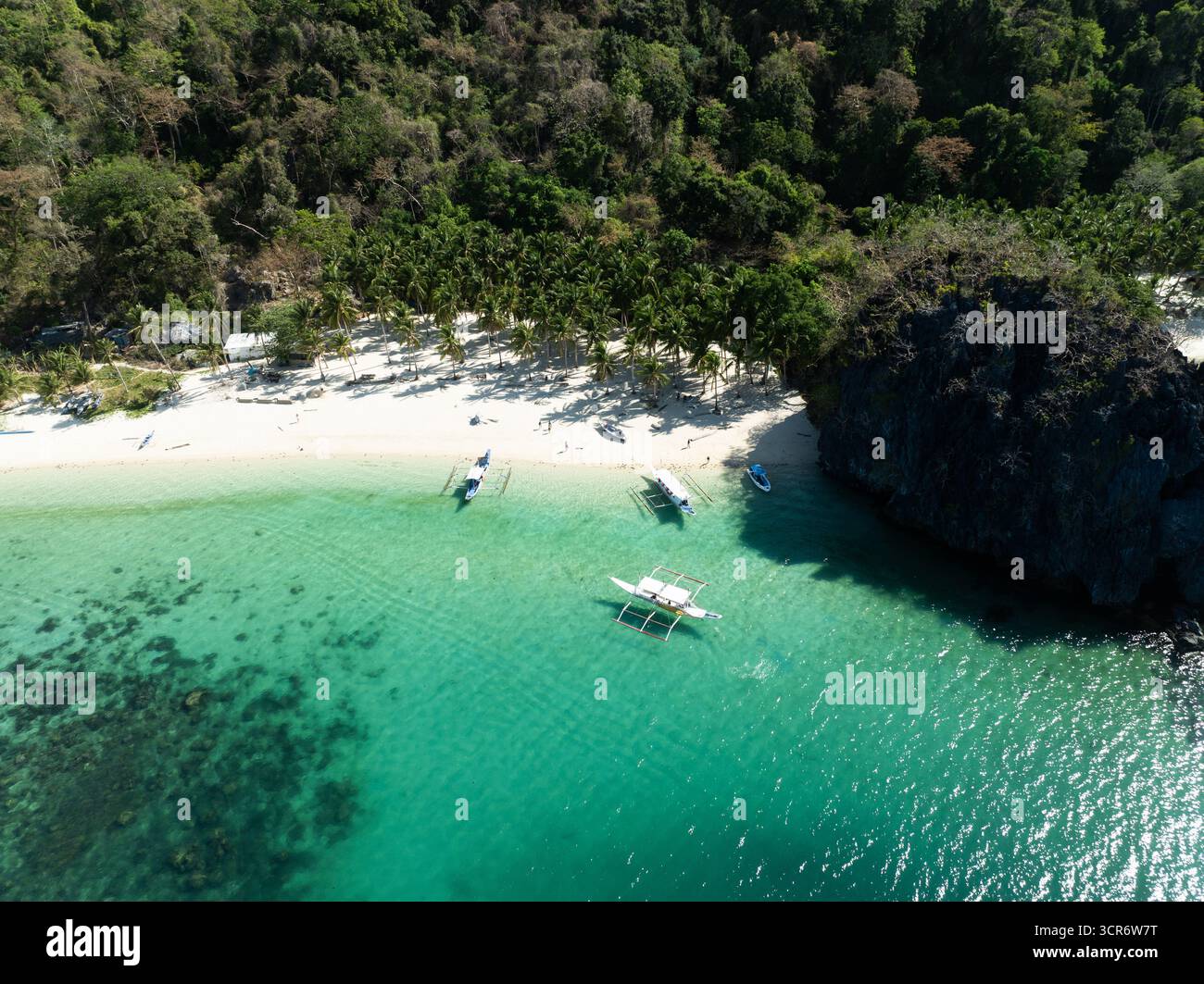Le limpide acque turchesi rivelano coralli sottostanti, mentre alte palme fiancheggiano una spiaggia di sabbia bianca, creando un perfetto paradiso tropicale sotto il cielo blu. Foto Stock