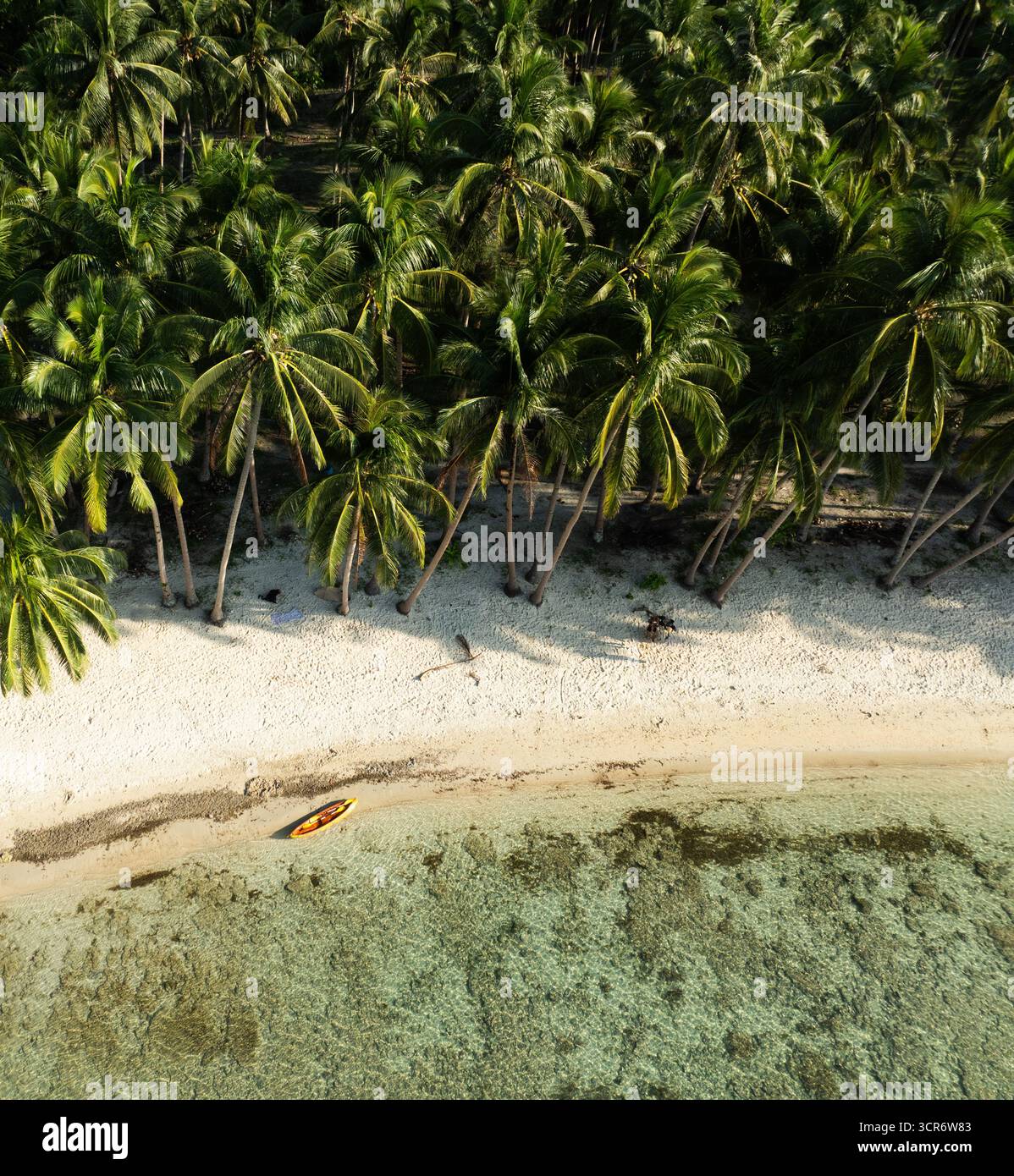 Le limpide acque turchesi rivelano coralli sottostanti, mentre alte palme fiancheggiano una spiaggia di sabbia bianca, creando un perfetto paradiso tropicale sotto il cielo blu. Foto Stock