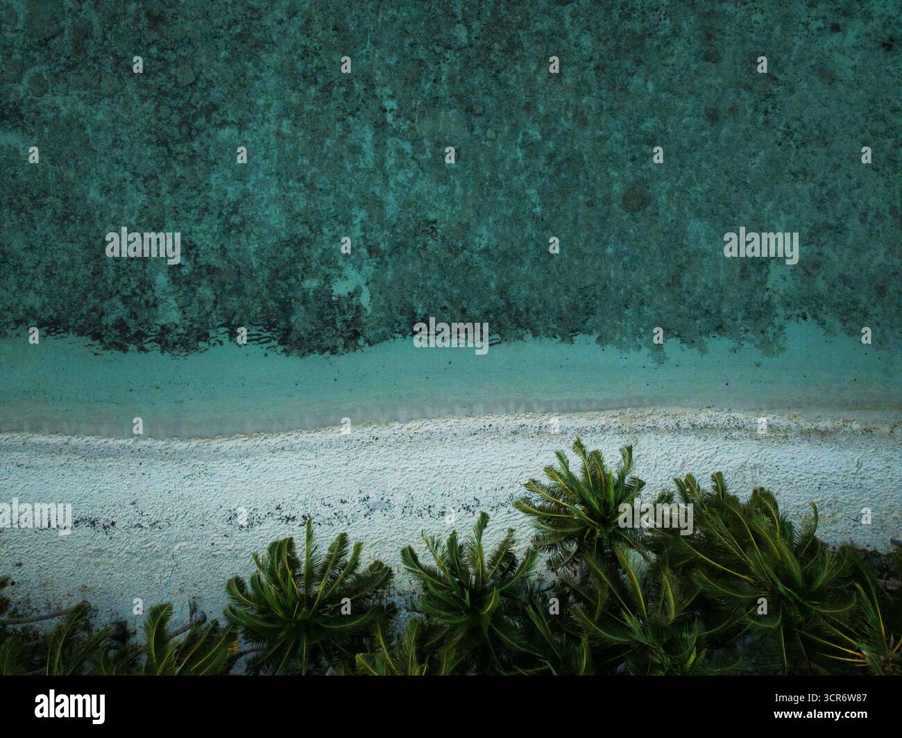 Le limpide acque turchesi rivelano coralli sottostanti, mentre alte palme fiancheggiano una spiaggia di sabbia bianca, creando un perfetto paradiso tropicale sotto il cielo blu. Foto Stock