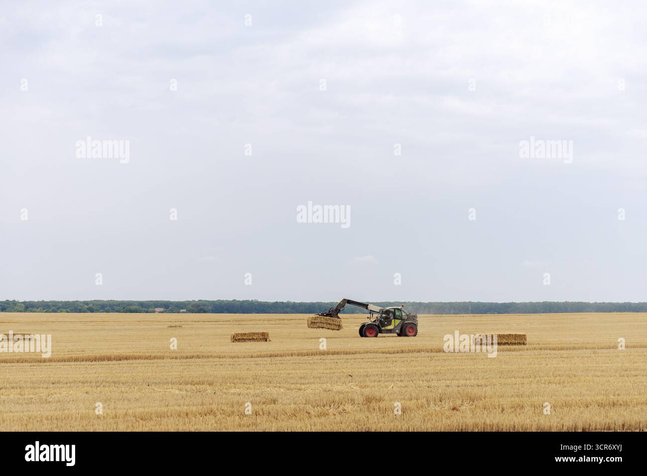 L'immagine mostra un trattore al lavoro in un vasto campo di grano dorato, con balle di fieno sparse intorno sotto un'armonia visiva di nuvole nel cielo, incarnato Foto Stock