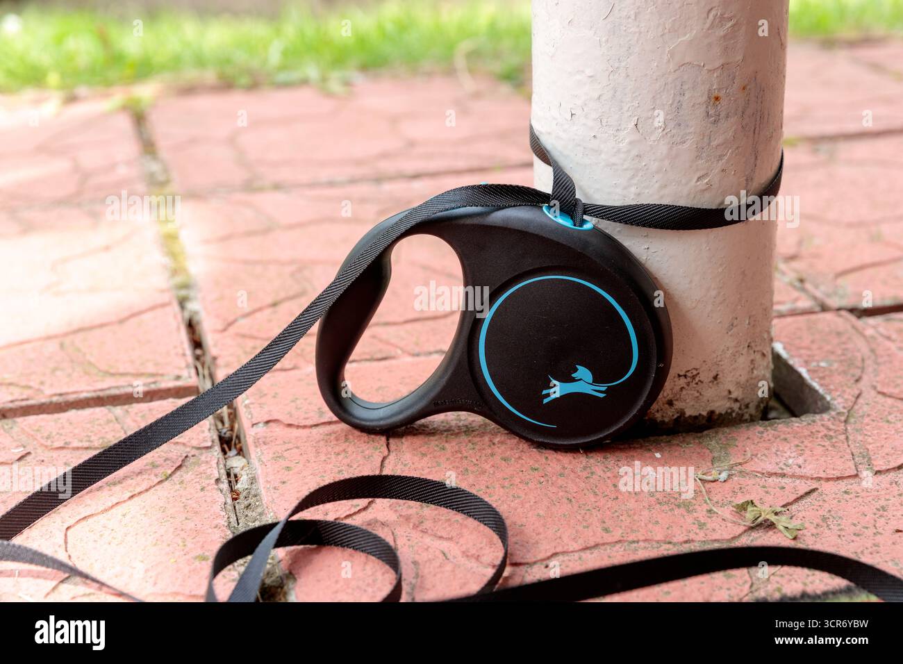 Un guinzaglio retrattile per cani fissato intorno a un palo su un pavimento esterno, ideale per camminare con cani in ambienti piacevoli come parchi o cortili Foto Stock
