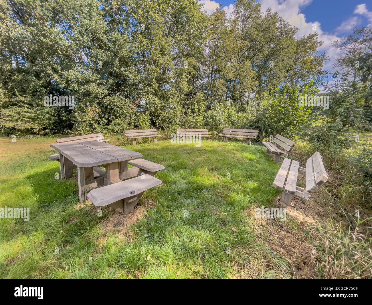 Aula all'aperto con panche e tavolo per l'educazione alla natura nella foresta. Lezioni e formazione possono essere tenute nella foresta. Foto Stock