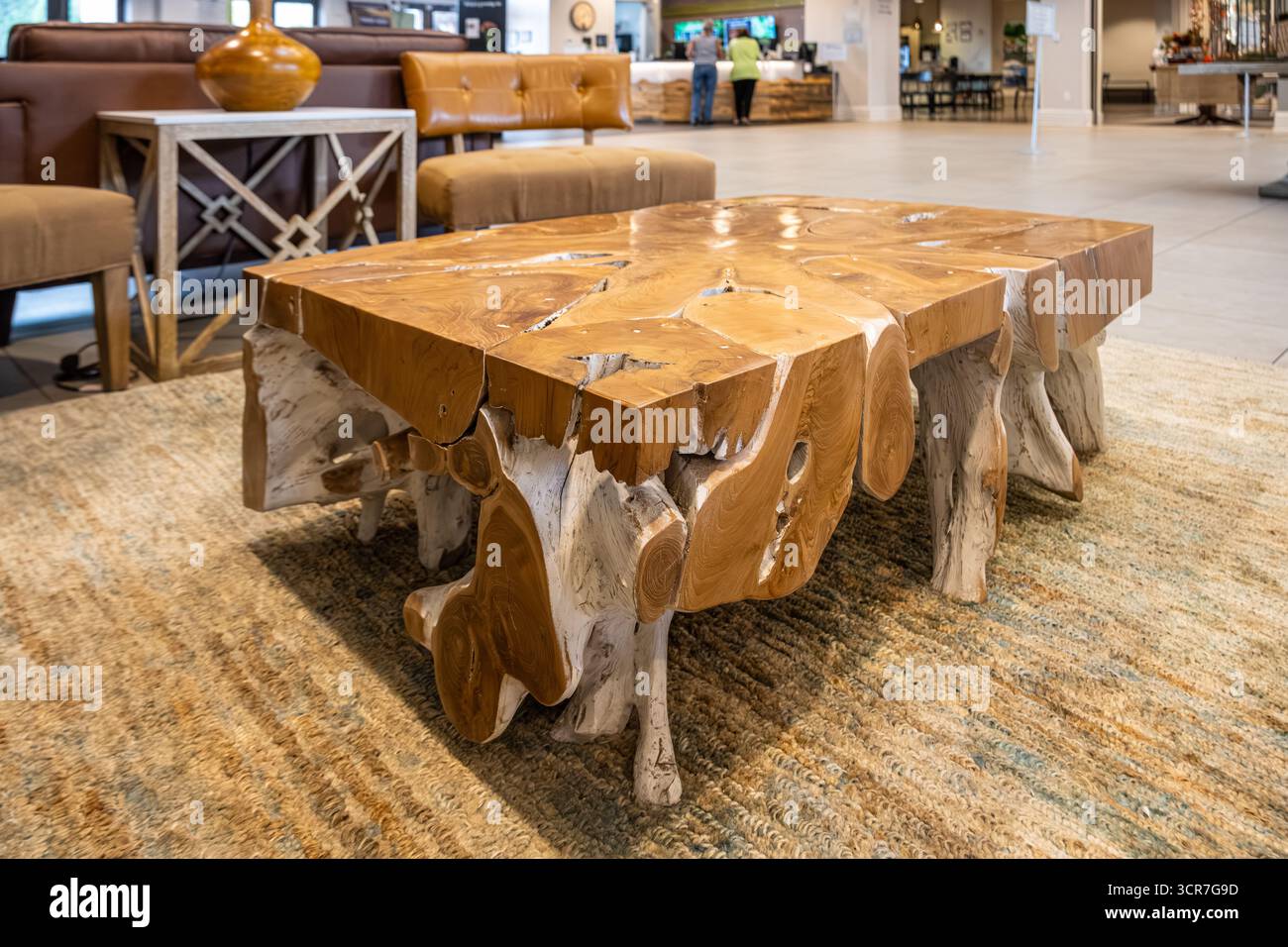 Tavolo creativo artigianale nella hall del Guest Center presso il Giardino Botanico di Huntsville, Alabama. (USA) Foto Stock