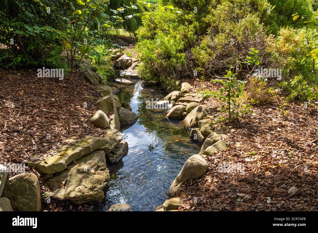 Ruscello all'Huntsville Botanical Garden di Huntsville, Alabama. (USA) Foto Stock