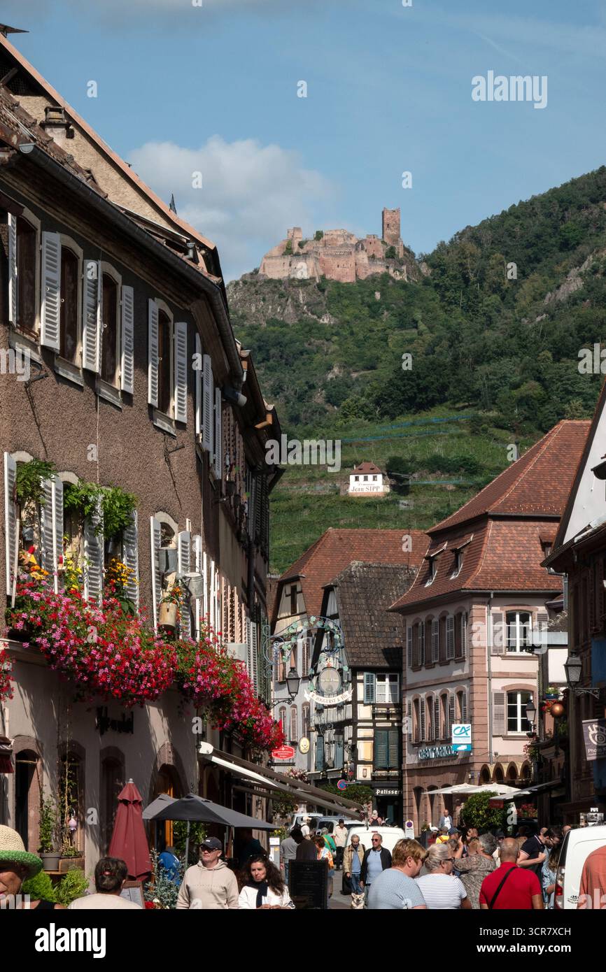 Riquewihr è una città medievale sulla strada del vino dell'Alsazia nella Francia orientale. Le sue strade acciottolate sono punteggiate da negozi per metà in legno popolari per i turisti. Foto Stock