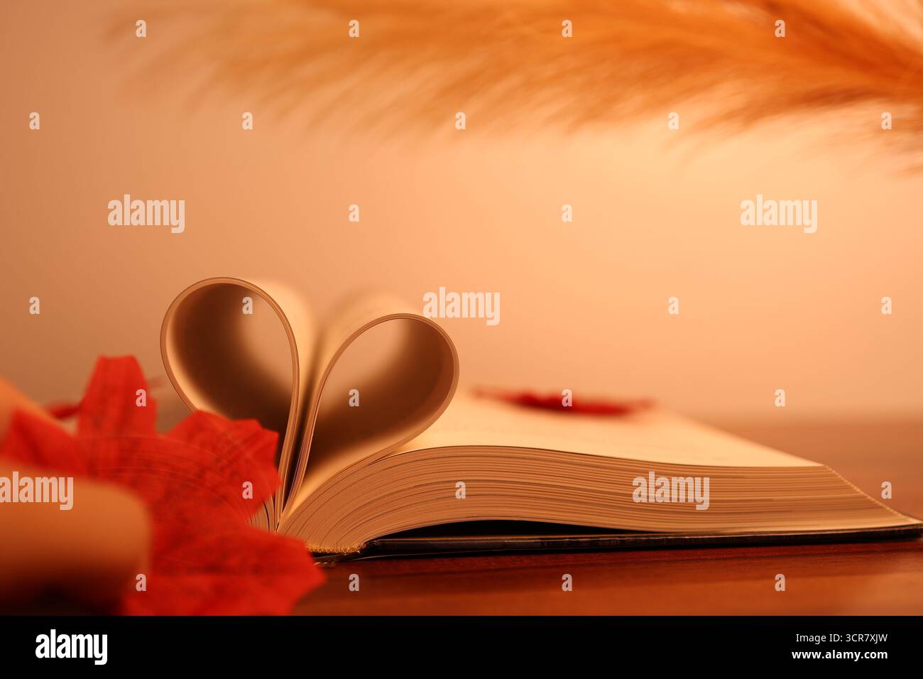 Heart Shape fatto di libri con una sensazione calda e piacevole, Conceptual Shot Foto Stock