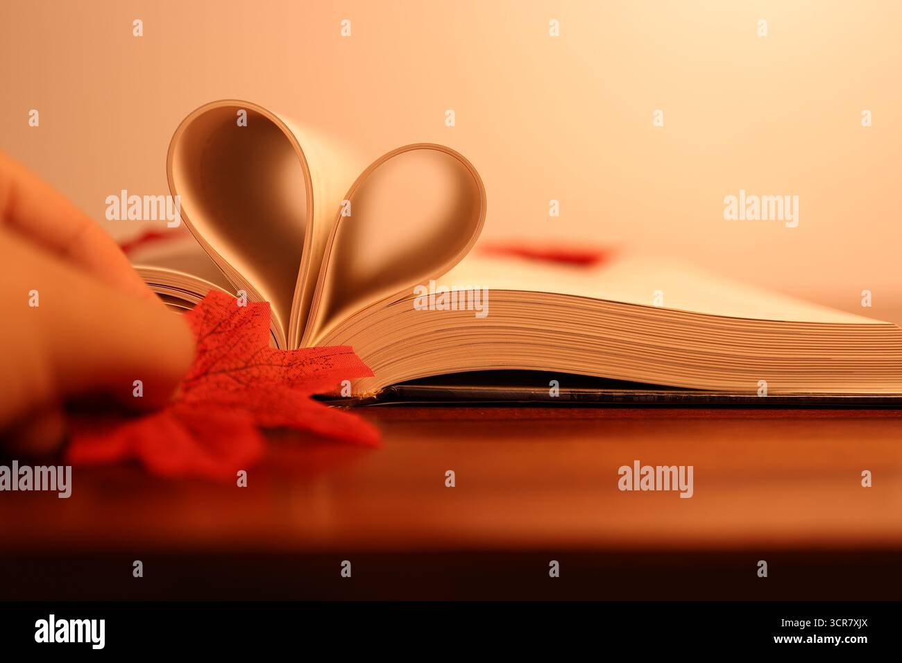 Heart Shape fatto di libri con una sensazione calda e piacevole, Conceptual Shot Foto Stock
