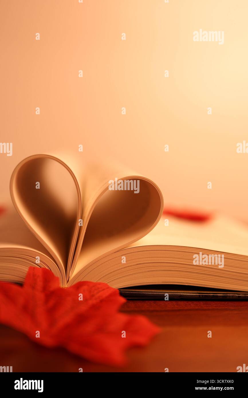 Heart Shape fatto di libri con una sensazione calda e piacevole, Conceptual Shot Foto Stock