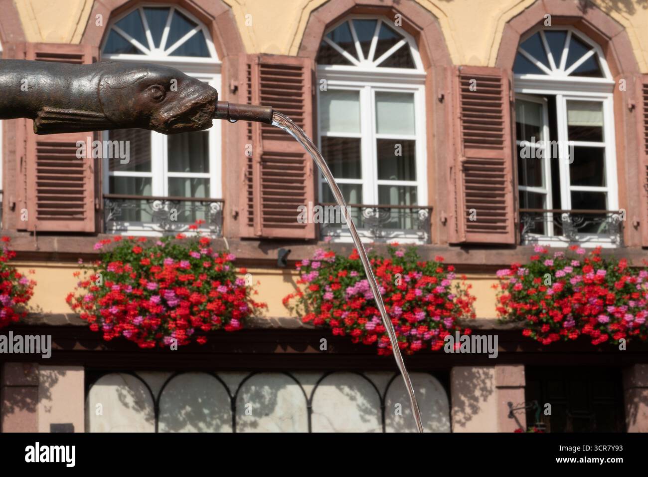 Riquewihr è una città medievale sulla strada del vino dell'Alsazia nella Francia orientale. Le sue strade acciottolate sono punteggiate da negozi per metà in legno popolari per i turisti. Foto Stock