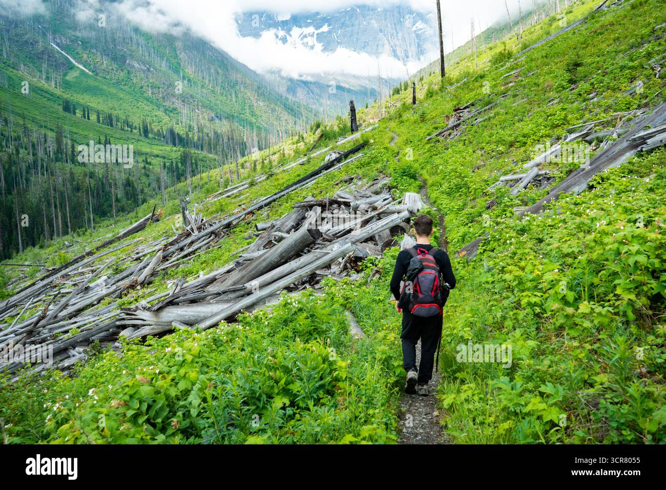 Camminate in un paesaggio montano in ripresa, mostrando resilienza e bellezza naturale Foto Stock