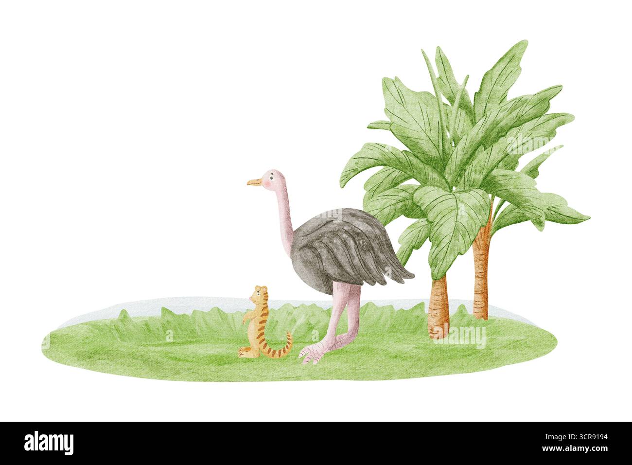 Simpatici struzzi e meerkat con illustrazioni ad acquerello di palme isolate sul bianco. Clip art di uccelli e animali della savana africana in stile infantile Foto Stock