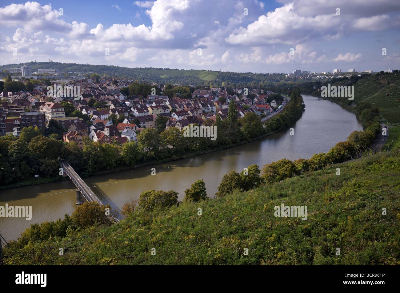 Il fiume Neckar si snoda lungo i vigneti, le viti, le viti, la viticoltura, il distretto di Muenster, Freiberg, Stoccarda, Baden-Wuerttemberg, Germania Foto Stock