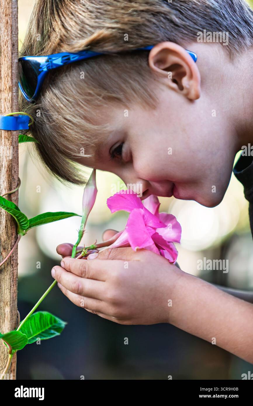 bambino singolo felice che odora fiori in giardino, primo piano con occhiali da sole Foto Stock