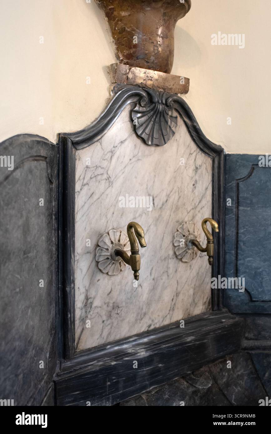Vintage, Historic o Old Taps o Water Faucets a forma di collo di cigno o Bird Neck a Hôtel Caumont Arts Centre Aix-en-Provence Francia Foto Stock
