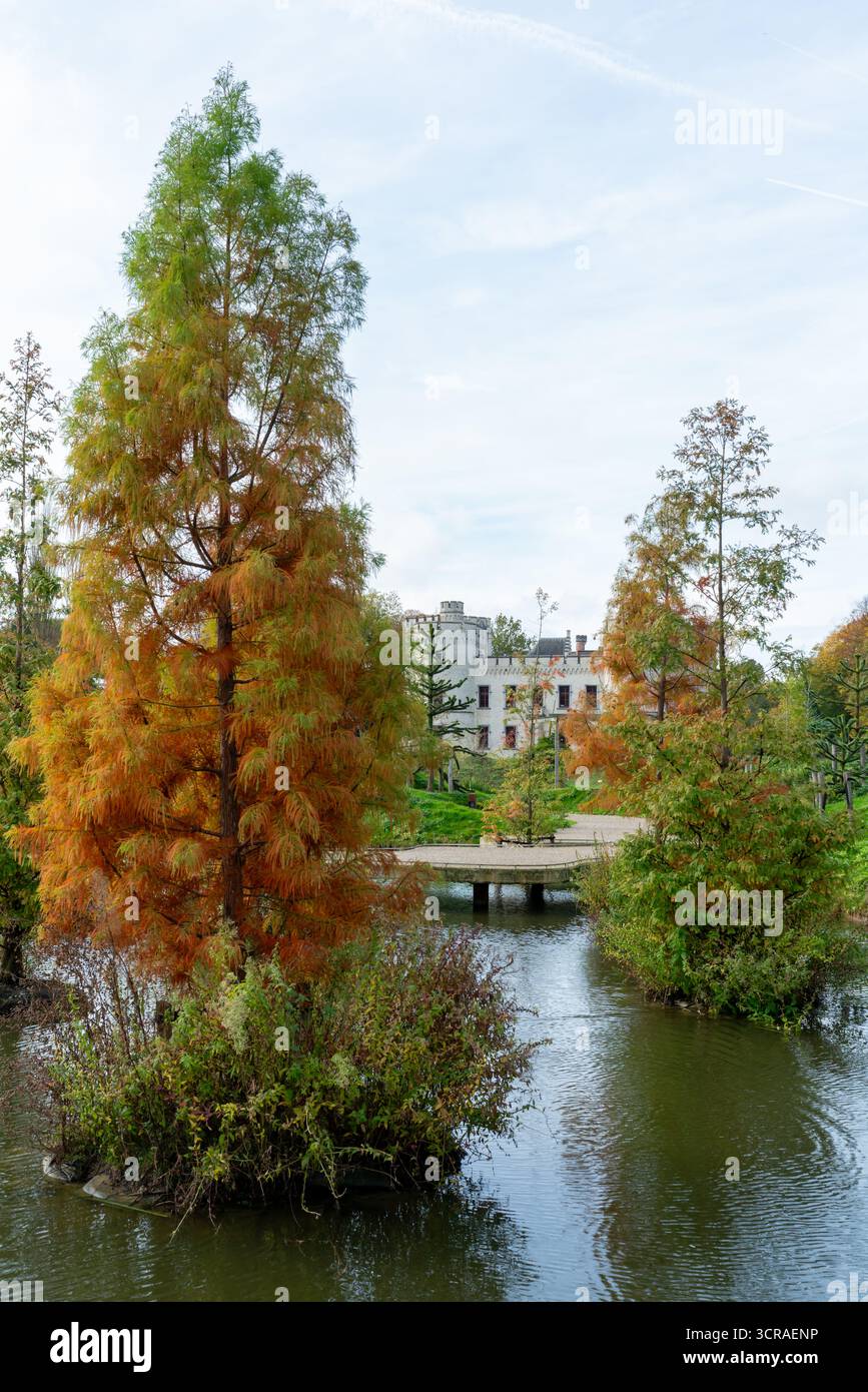Una passerella di legno conduce sopra il fossato, oltre gli alberi di cipressi calvi dorati, con il castello di Bouchout visibile in lontananza. Giardino botanico di Meise Foto Stock