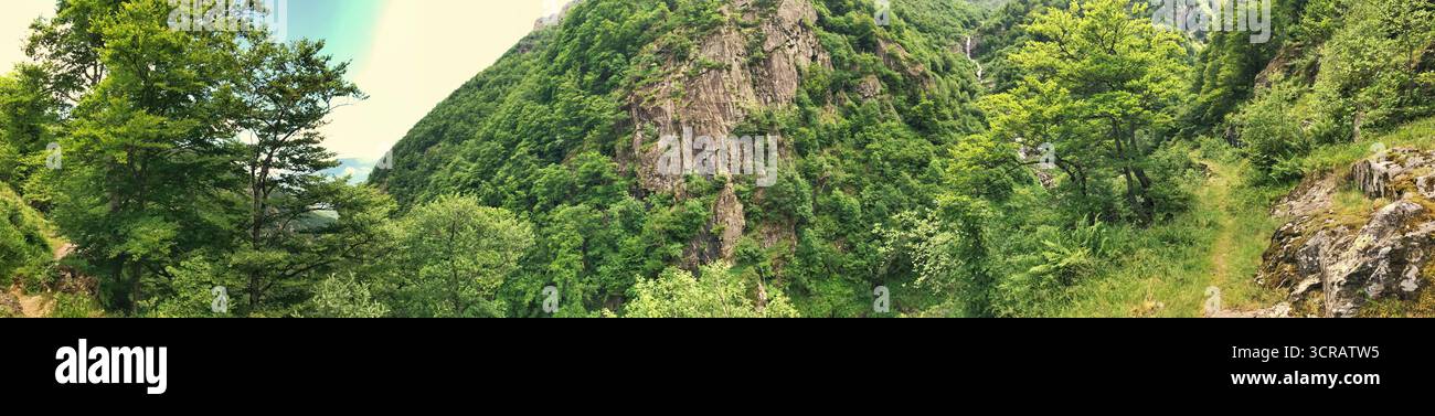 Un'immagine panoramica che mostra una foresta verdeggiante e formazioni rocciose, perfetta per concetti di paesaggio e natura. Questa immagine evidenzia Serene nat Foto Stock