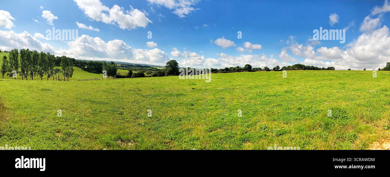 Un ampio paesaggio panoramico caratterizzato da verdi campi ondulati, alberi sparsi e un bellissimo cielo blu con soffici nuvole bianche, che presentano un ambiente sereno e sereno Foto Stock