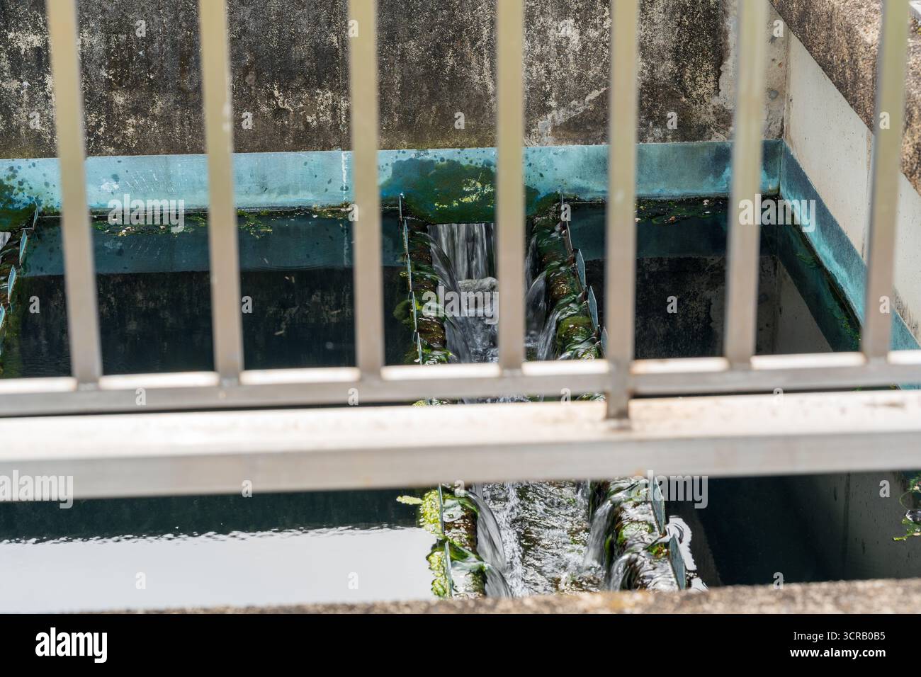 Impianto di depurazione e trattamento delle acque reflue industriali con serbatoi di sedimentazione presso il Toba Water Environment Conservation Center. Kyoto, Giappone. Foto Stock