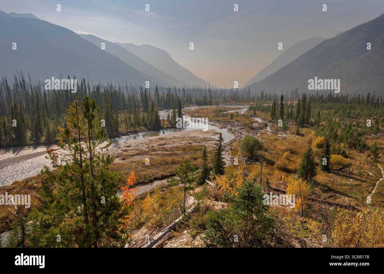 Fumo boschivo sulla valle del fiume Simpson a Kootenay, nel Parco Nazionale, Columbia Britannica, Canada Foto Stock