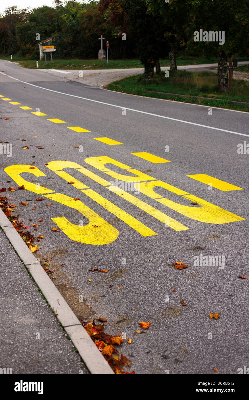 Segnaletica stradale gialla della fermata dell'autobus che simboleggia i trasporti, la mobilità, i viaggi e le infrastrutture pubbliche. Foto Stock