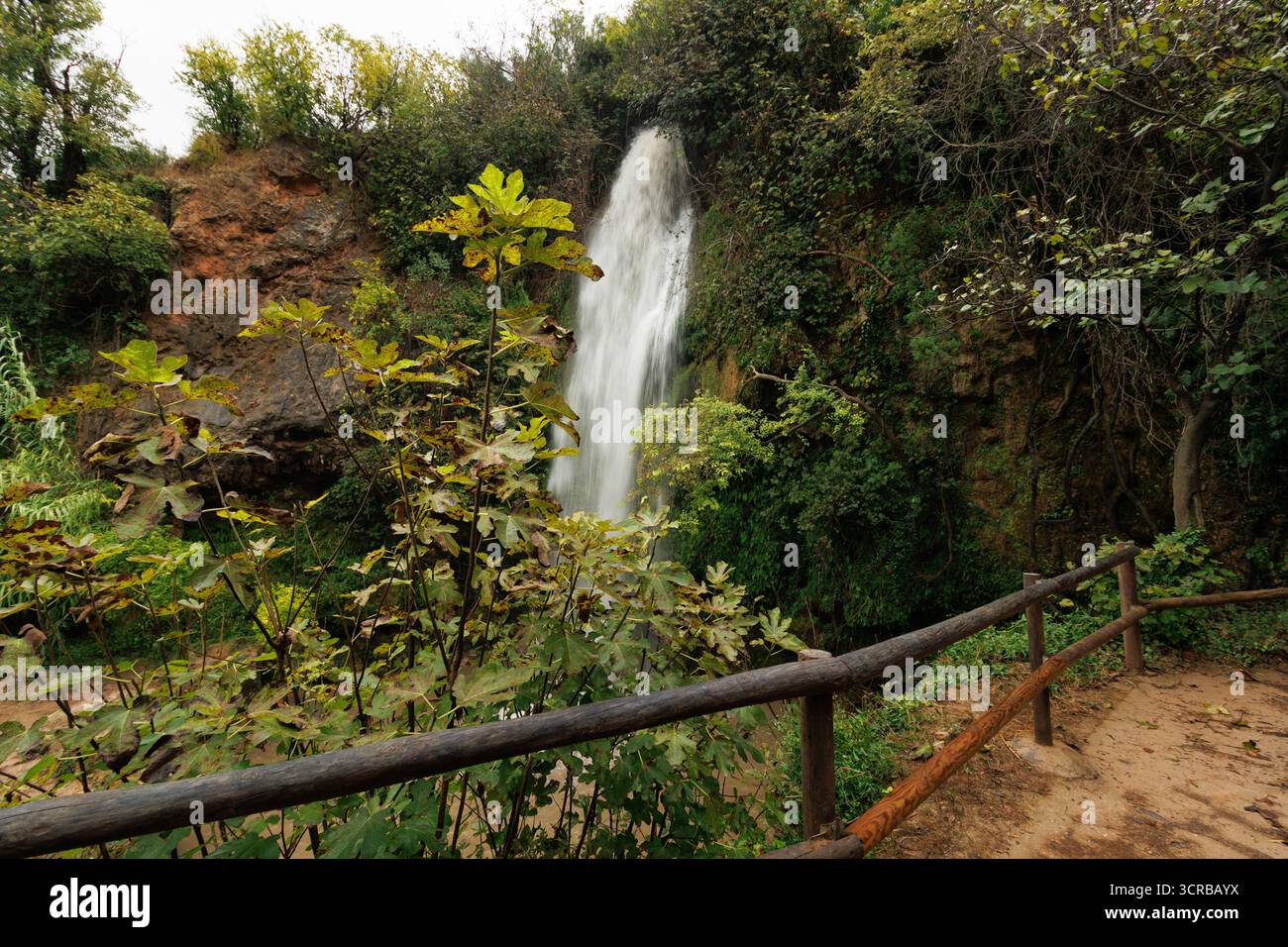Punto panoramico che si affaccia su una cascata alle cascate Navarres, con rami in primo piano, Spagna Foto Stock